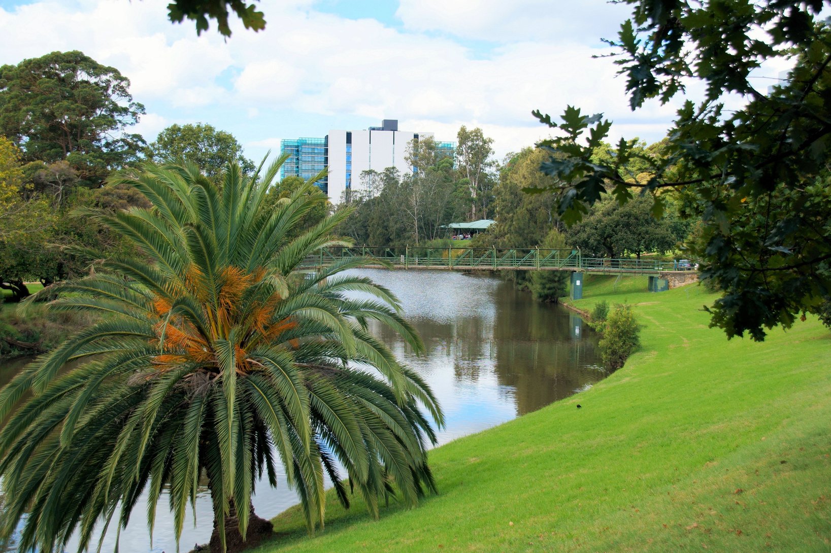 Parramatta River in Parramatta, Australia.